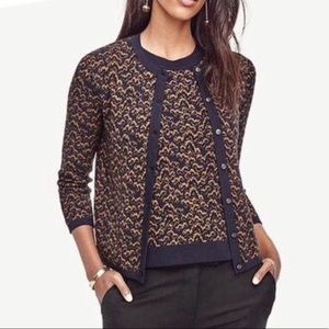 Ann Taylor Cardigan Sweater
